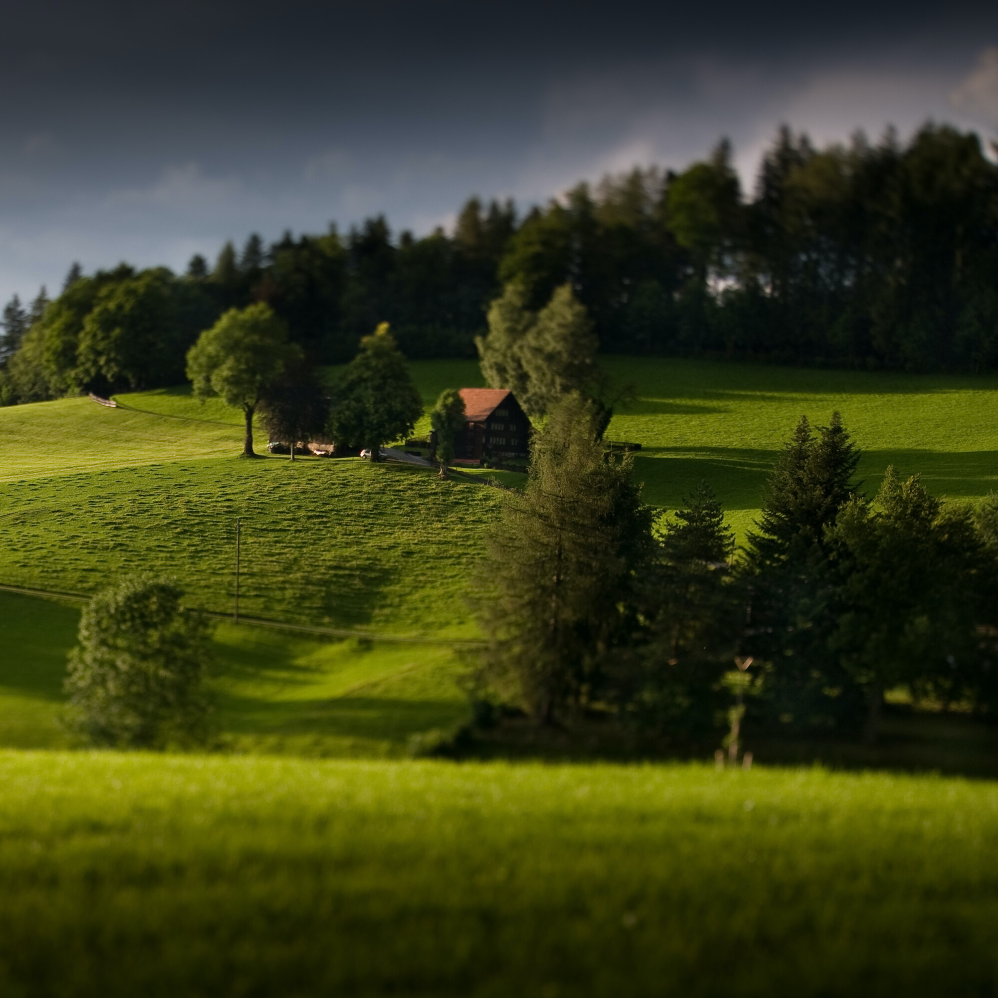 Foto: Grüne Hügellandschaft bei Teufen im Appenzellerland