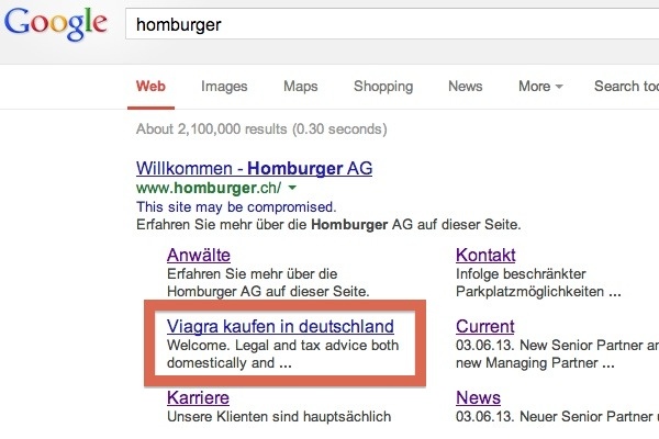 Screenshot: Ergebnis einer Google-Such nach «homburger»