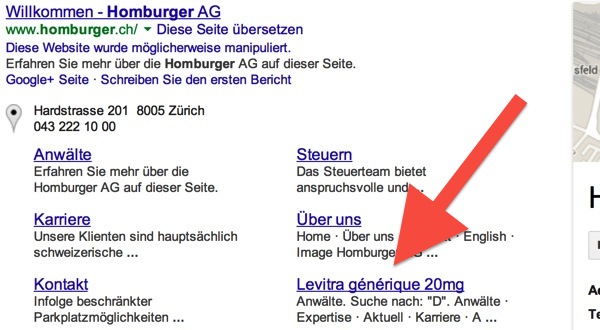 Screenshot: Ergebnis einer Google-Suche nach «homburger»