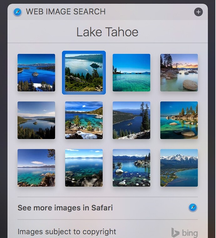 Screenshot: Siri-Bildersuche in MacOS 10.12 «Sierra»