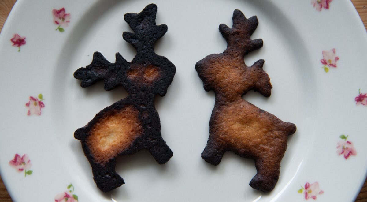 Foto: Zwei Elch-förmige, verbrannte Cookies