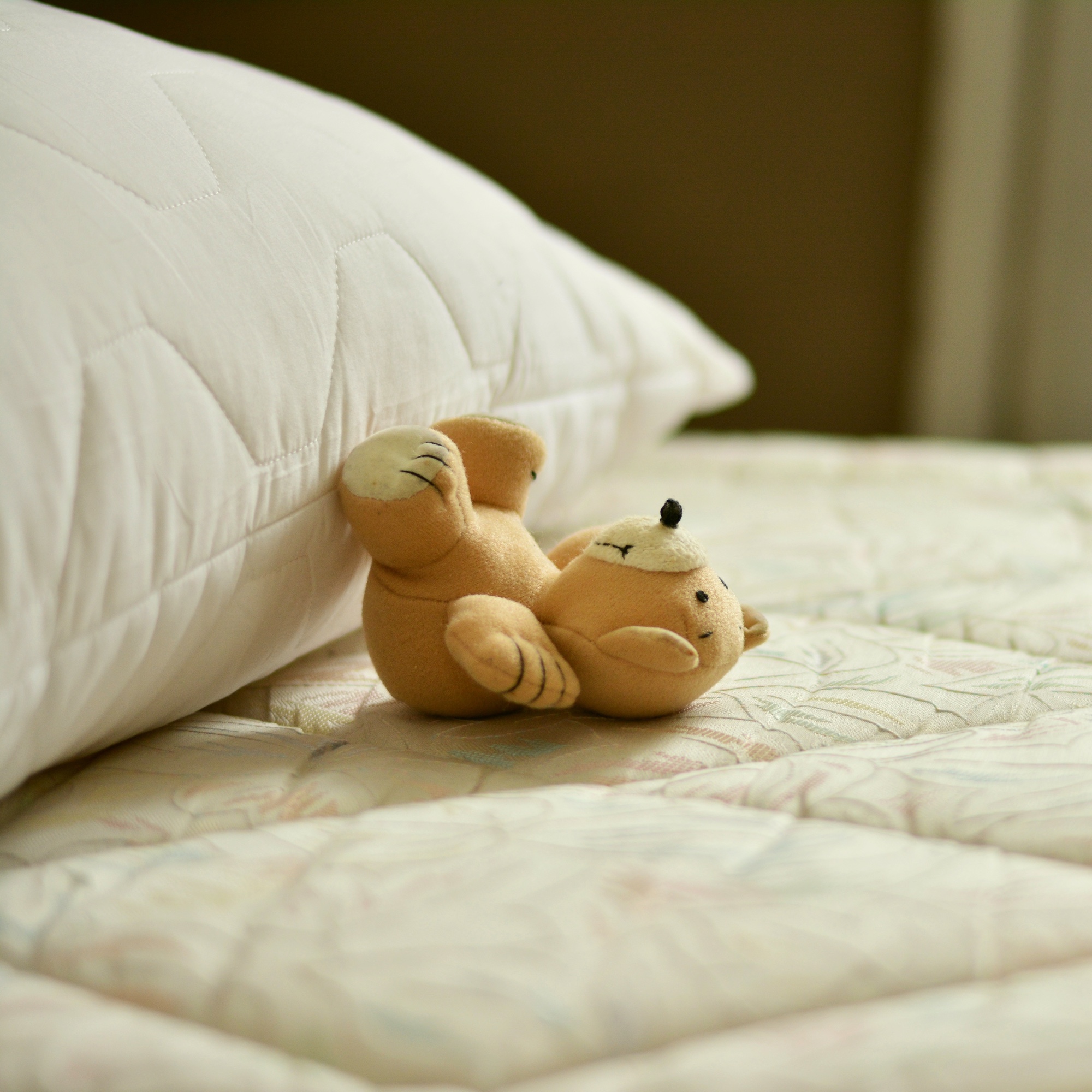 Foto: Stofftier, das neben einem Kissen auf einer Matratze liegt