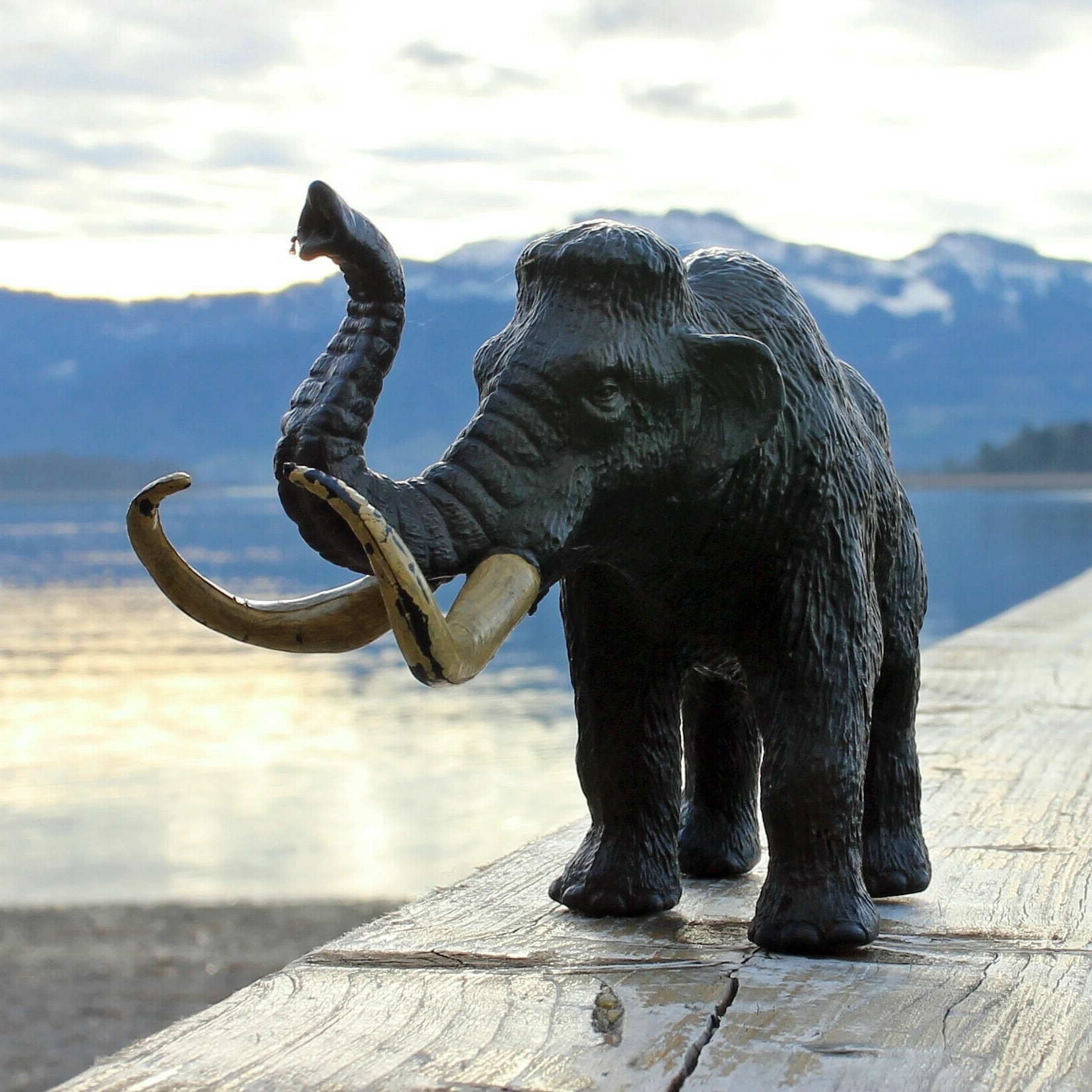 Foto: Spielzeug-Mammut