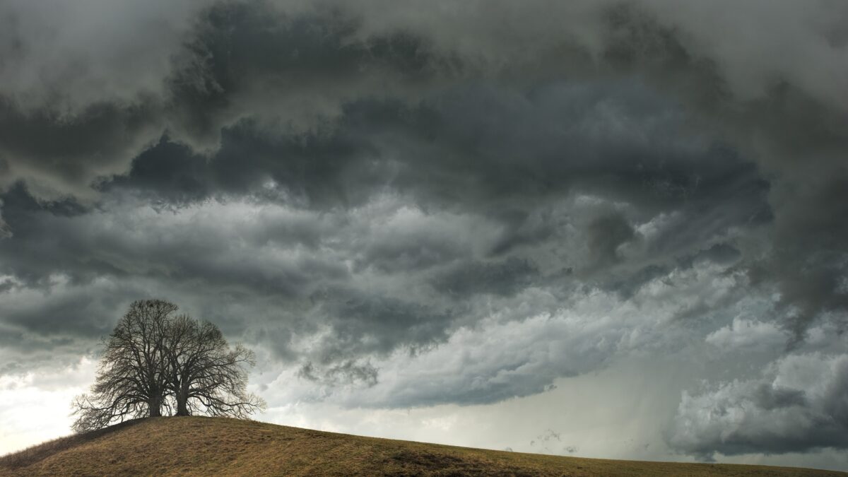 Foto: Baum auf einem Hügel mit Gewitterwolken im Hintergrund